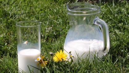 milk-1377564_1920
