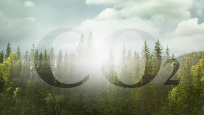 AdobeStock_302519888