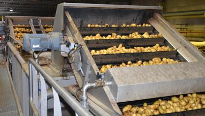 La transformation des pommes de terre a reculé de 4% en 2020 par rapport à 2019.