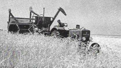 Le SFV 402 en pleine action, attelé à une moissonneuse-batteuse tractée.