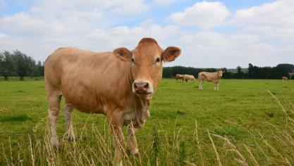 Selon le commissaire européen à l’Agriculture, la transition vers la durabilité sera une opportunité à moyen terme pour nos agriculteurs.