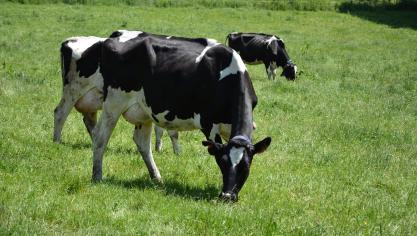 Une profonde mise à jour du monitoring de durabilité est attendue cette année,  avec un accent plus prononcé sur le climat et sur le bien-être animal.