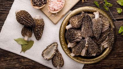 AdobeStock_147547965