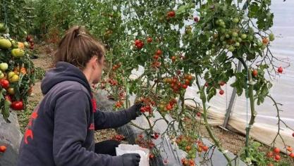 Anaïs Campion dans le potager du restaurant « L’Air du temps » de Liernu.