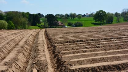 Outre l’archirecture verte et ses éco-régimes, les points de vue continuent de diverger sur le ciblage des aides (plafonnement…) ainsi que sur l’Organisation commune de marché unique.