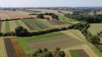 Une étude visant étudier la faisabilité agronomique, apicole et économique de l’implantation de cultures mellifères sans utilisation de pesticides s’est déroulée sur des terrains de protection de captage d’eau de la SWDE.