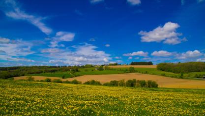 AdobeStock_408623845