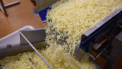 Kaasbrik, à Halen, est un spécialiste  du râpage de la mozzarella.