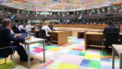 Les ministres réunis en présentiel à Bruxelles ont passé en revue de nombreux dossiers, dont celui relatif à l’élevage en cage.