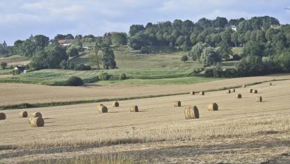 Les exploitations dirigées par des gestionnaires  ayant une formation agricole ont un revenu plus élevé.