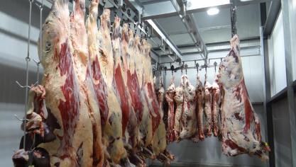 La création d’outil de proximité permet de répondre à une demande des éleveurs, sans pour autant concurrencer les plus grandes structures, nécessaires pour le travail de grande ampleur et les produits destinés notamment à la grande distribution et à l’exportation.
