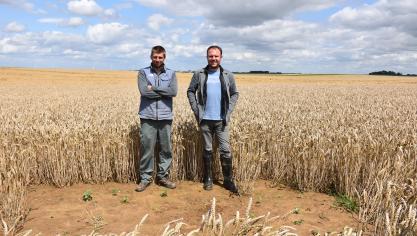 A gauche, Geoffrey Lacroix, agriculteur à Burdinne, a déployé des plots à alouettes  dans ses parcelles et bénéficie de l’accompagnement de Hadrien Gaullet, à droite,  chargé de mission au sein du Parc naturel Buerdinale-Mehaigne (PNBM).