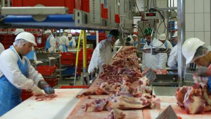 La pénurie de bouchers pourrait entraîner l’abattage de 150.000 porcs dans les prochains jours.