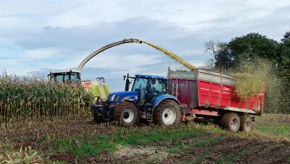 En Condroz, Famenne, régions herbagères et région jurassique, les variétés précoces ne seront pas récoltées avant la semaine prochaine. Pour les variétés tardives, on attendra la dernière décade d’octobre.