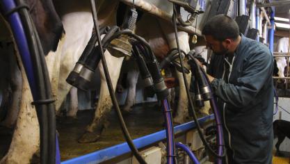 Le projet CowForme vise à permettre aux demandeurs d