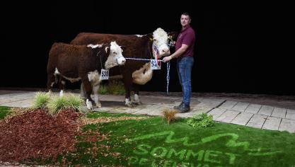 Si l’aubrac et la Simmental étaient les deux races bovines à l’honneur, l’Hereford a suscité notre intérêt. En effet c’est Julien Remy, une jeune Belge qui est venu décrocher le superchampionnat avec Léonora P3.