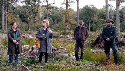 La ministre Tellier se dit satisfaite du premier bilan du projet 6 mois après son lancement. Un nombre important de propriétaires forestiers ont répondu à l’appel.
