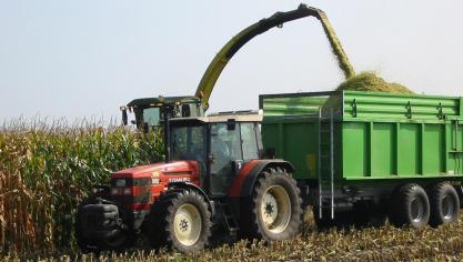 En Ardenne, même si le stade optimum de récolte n’est pas atteint pour la plupart  des parcelles, il est recommandé de planifier les récoltes dans les prochains jours.