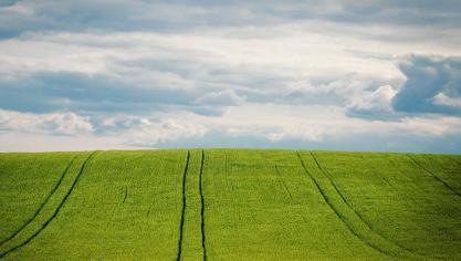 La production européenne d’orge pour 2021/2022 a été révisée à la baisse. Une tendance  qui s’explique avant tout par une baisse des superficies dans la plupart des États membres.