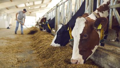 «Sans protection des agriculteurs, il n’y aura pas de garantie  au niveau de la sécurité alimentaire en Europe».
