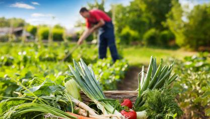 Plusieurs parlementaires craignent que les mesures de promotions des produits bio bénéficient principalement aux produits importés qui concurrencent la production européenne.