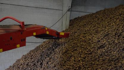 Les stocks au 15 novembre étaient évalués à environ 3,26 Mt.