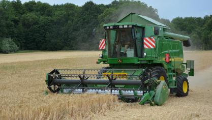 En se basant sur les prix de début de campagne, Statbel prévoit une hausse des prix au producteur de l’ordre de 26,9% pour les céréales. Cette hausse permet de combler des volumes de production en nette diminution (-7,8%).