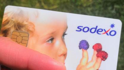 Il est désormais possible pour les fermes d’accepter ceux-ci pour la vente de leurs produits qu’ils soient bios ou conventionnels, pour autant qu’elles aient le label « en direct  de la ferme », et soient affiliées avec les sociétés émettrices des chèques.