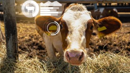 Les données sont désormais stockées et partagées dans le « cloud » ou « cow computing » avec l’avantage de créer de la valeur. «C’est en partageant, indique Carlo Bertozzi,  directeur innovation chez Elevéo, que l’on pourra développer de nouveaux  services ou outils d’aide à la décision (OAD)».