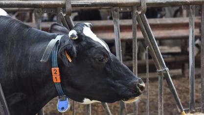 Pour le vétérinaire Léonard Theron, « l’agriculture est en quelque sorte la mère de la numérisation ».