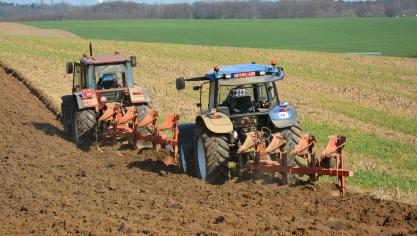 En Wallonie, la superficie agricole utilisée moyenne par exploitation s’élève à 57,6ha.