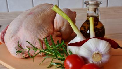 chicken-g3eebf89d5_1920