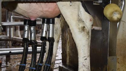 Malgré cette augmentation significative, le prix moyen du lait en 2021 reste inférieur au coût de production.