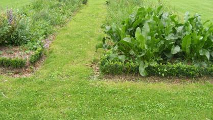 Le calendrier peut être adaopté aussi bien pour les potagers en pleine terre que  pour les jardins en carrés.