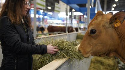 Les animaux seront à l’honneur lors du 151 ème concours général et se laisseront approcher  par les visiteurs durant toute la durée du salon.