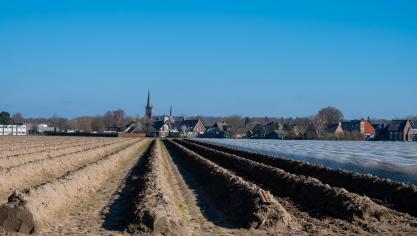 Cinq États membres n’ont toujours pas soumis leurs projets de plans : l’Allemagne,  la Belgique (qui pourrait être très en retard), la Bulgarie, la Roumanie et la Slovaquie.