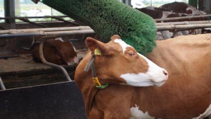 Les eurodéputés demandent des règles plus claires pour chaque espèce mais aussi  d’apporter un soutien aux agriculteurs pour les accompagner.