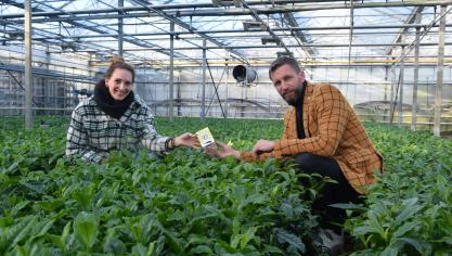 Johan Jansen, fondateur de «Local Tea» et Dionne Oomen, responsable de production,  sont les inspirateurs de ce premier projet de thé en Flandre.