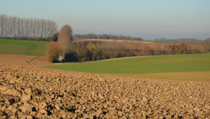 En Europe, l’hiver a été près de 1ºC plus chaud que la moyenne 1991-2020.