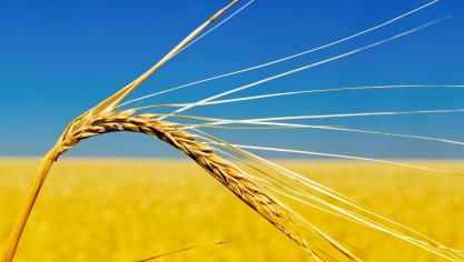 AdobeStock_43926824