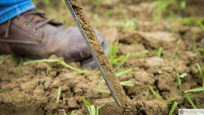 Raisonner sa fertilisation, c’est raisonner ses dépenses mais également protéger la qualité  de l’eau en limitant l’azote non prélevé par votre culture