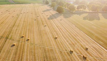 La commission a pris conscience qu’il faudra mener une politique permettant à l’UE d’assurer  son propre approvisionnement et la sécurité alimentaires du monde entier.