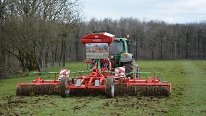 Une rénovation de prairie sur dégâts de sangliers.