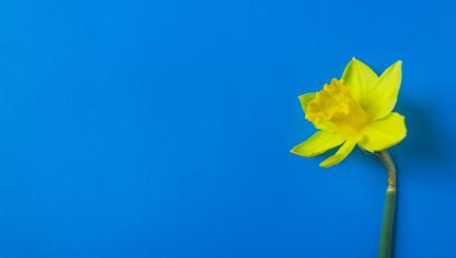 AdobeStock_490696626