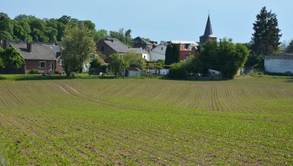 DSC_8766