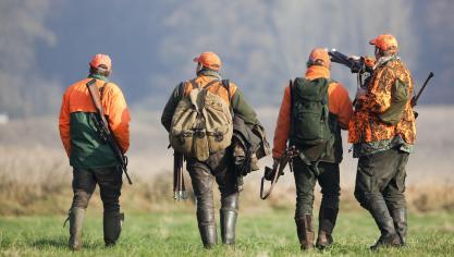 En ce qui concerne le sanglier, les plans de tir ont été adoptés sur base volontaire.