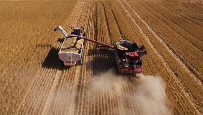 A l’horizon 2050, il faudra entre 150 millions et 190 millions de tonnes de céréales pour satisfaire les besoins de la zone d’Afrique du nord et du Moyen-Orient.