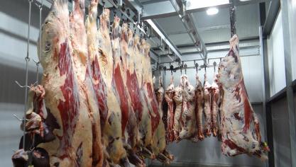 beef-1884301_1920