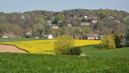 Le projet vise à restaurer la biodiversité dans les plaines agricoles de Hesbaye.