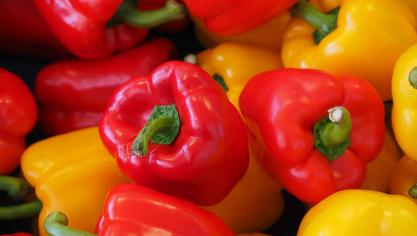 bell-peppers-g665f02a84_1920